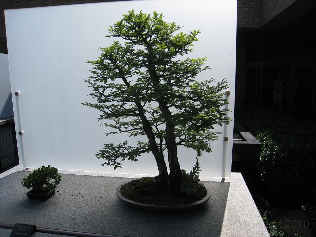 Botanical Gardens 2010 0460.jpg - The Chicago Botanic Gardens. Wear comfortable shoes, and be prepared to enjoy the landscape for a day.